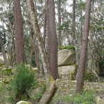 p1220758